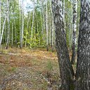 ���� ��������, ������, 71 ��� - ��������� 14 ������� 2011 � ������ ���� ����������