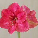 ���� ����! ���, ������������, 52 ���� - ��������� 29 ������� 2010 � ������ �������