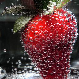 ���� �������, �����-���������, 38 ��� - ��������� 10 ������� 2011