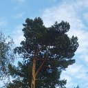 ���� ������, �����, 59 ��� - ��������� 14 ������� 2012 � ������ �������� �����