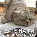 ���� �������, ������, 56 ��� - ��������� 7 ������ 2012 � ������ �������