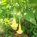 ���� ������, ������������ - ��������� 3 ������� 2012 � ������ �������