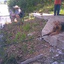 ���� ����, �������, 63 ���� - ��������� 25 ���� 2011 � ������ ���� ����������