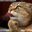 ��� ��������!!! �� ������� �PetLove�