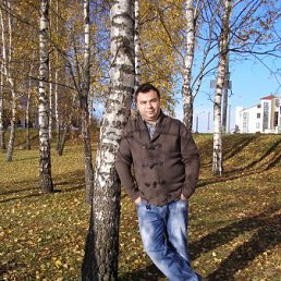 ������, �����, 46 ���