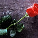 ���� ����, �������, 75 ��� - ��������� 1 ������ 2013 � ������ ���� ����������