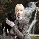 ���� �������, ���������, 74 ���� - ��������� 4 ������� 2012