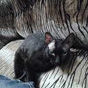 ���� ������, �����������, 59 ��� - ��������� 18 ��� 2013