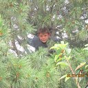 ���� ������, ���������, 53 ���� - ��������� 21 ������� 2012