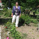 ���� ��������, ����-���������, 73 ���� - ��������� 24 ���� 2013 � ������ ���� ����������