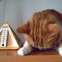 ���� ����, ����������-��-�����, 56 ��� - ��������� 26 ������ 2013 � ������ ���� ����������