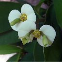   - , , 65  -  27  2012   