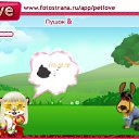 ���� �����, ������, 24 ���� - ��������� 20 ������ 2011 � ������ �PetLove�