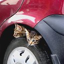 ���� ...Tolik..., ����� - �������� - ��������� 9 ������ 2012 � ������ ���� ����������