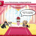 ���� �������, �����������, 27 ��� - ��������� 22 ��� 2011 � ������ �PetLove�