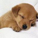 ���� Uzumgul Tastemirova, ������ - ��������� 13 ���� 2013 � ������ ���� ����������