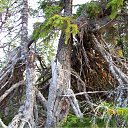  , -, 57  -  22  2009   ,   