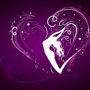 ���� ����), ���������� - ��������� 8 ������� 2009 � ������ �@}-}--�