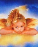 ���� ��������, ������������, 64 ���� - ��������� 14 ������� 2009 � ������ ��������� �����