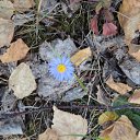  , -, 42  -  31  2011   