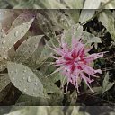 ���� ����, �������, 29 ��� - ��������� 29 ���� 2012 � ������ �������