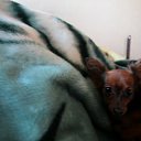 ���� �������, ������, 41 ��� - ��������� 20 ������ 2011 � ������ ���� ����������