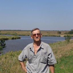 ����, ���������, 71 ���