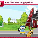 ,  , 27  -  26  2010   PetLove
