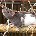  ok, --, 44  -  7  2010   