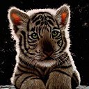 ���� ����, �������, 63 ���� - ��������� 18 �������� 2011