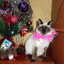 ���� ������, ��������, 48 ��� - ��������� 29 ����� 2012