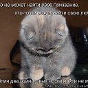 ���� ���, �����, 42 ���� - ��������� 12 ������� 2011 � ������ ���� ������������