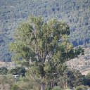 ���� �����, �����, 38 ��� - ��������� 3 ������� 2011 � ������ ������������