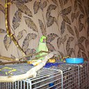 ���� ������, ����������, 45 ��� - ��������� 20 ������� 2012 � ������ ���� ����������