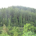 ���� �������, ������, 59 ��� - ��������� 24 ���� 2011 � ������ ������ 2011�