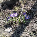 ���� ����, ������, 41 ��� - ��������� 9 ��� 2011 � ������ �����