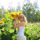 ���� �����, ����� - ��������� 8 ������� 2012 � ������ ���� ����������