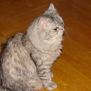 ���� Svetlanas, ���������, 47 ��� - ��������� 7 ���� 2010 � ������ ���� �������