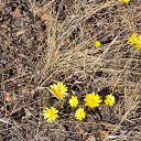  M.v., , 55  -  1  2011   