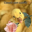���� ���������......., ����������� - ��������� 22 ��� 2013