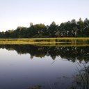 ���� �������, ����, 56 ��� - ��������� 19 ������� 2011 � ������ ���� ����������