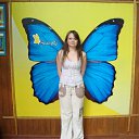 ���� ����, ������, 44 ���� - ��������� 13 ������� 2011