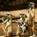 ���� Andrey, �����-��������, 43 ���� - ��������� 25 ������� 2011 � ������ �������