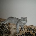 ���� Svetlanas, ���������, 47 ��� - ��������� 7 ���� 2010 � ������ ���� �������