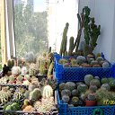 ���� ������, ������, 69 ��� - ��������� 5 ������ 2013 � ������ ���� ��������� ����������