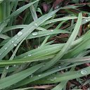 ���� ���������, ���������� - ��������� 23 ������� 2010 � ������ �������������Ż