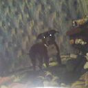 ���� �����, ��������, 43 ���� - ��������� 30 ������� 2011 � ������ ���� ����������