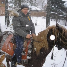 ��������� �������, �����������, 43 ����