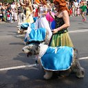 ���� �������, �����, 69 ��� - ��������� 30 ���� 2012 � ������ �������� ��������