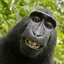 ���� �����, ����������, 47 ��� - ��������� 15 ������ 2012